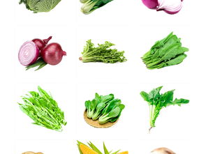 高清新鲜健康有机蔬菜水果PNG素材合集 一站式模板下载与设计资源指南