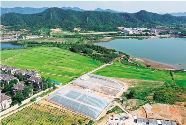 绍兴文明网聚焦“集鲜果” 小水果撬动大文明，共富路上果香浓